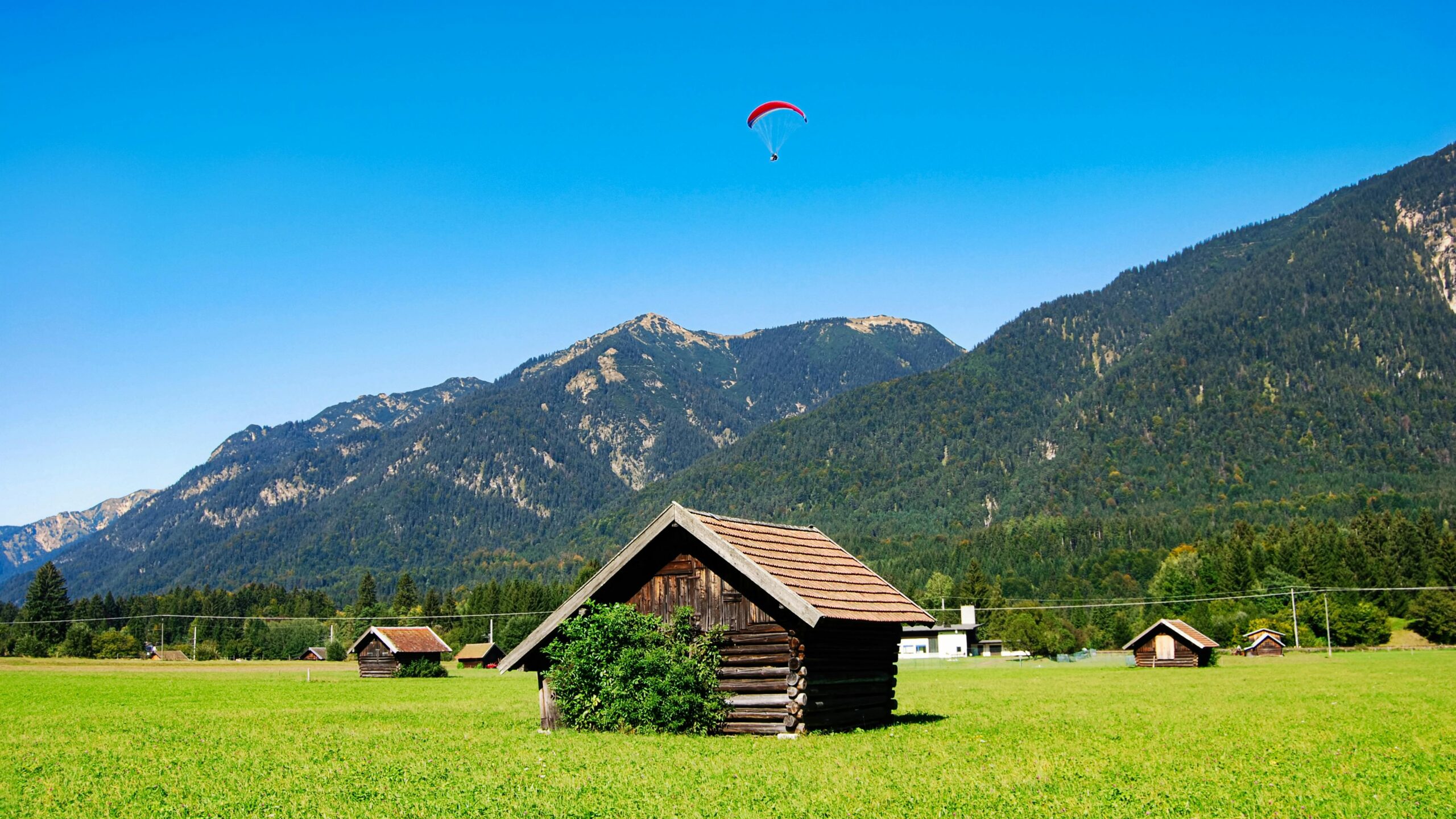 pexels-ulrich-scharwachter-506428-1294981